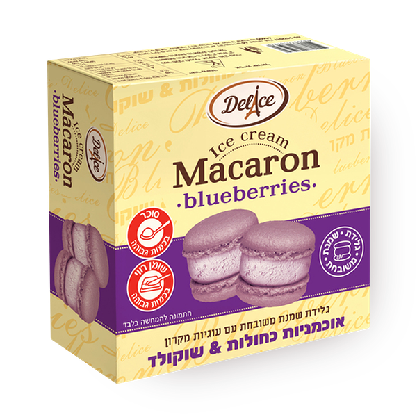 ICE CREAM MACARON BLUEBERRIES