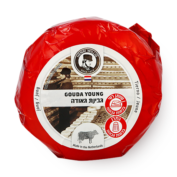 Henri Willig Gouda Cheese 31%