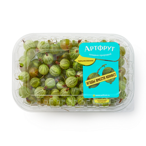 Крыжовник «Артфрут» свежий