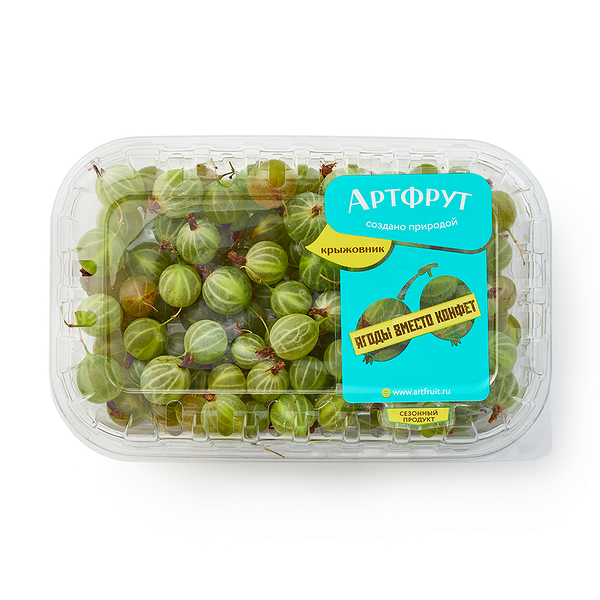 Крыжовник «Артфрут» свежий