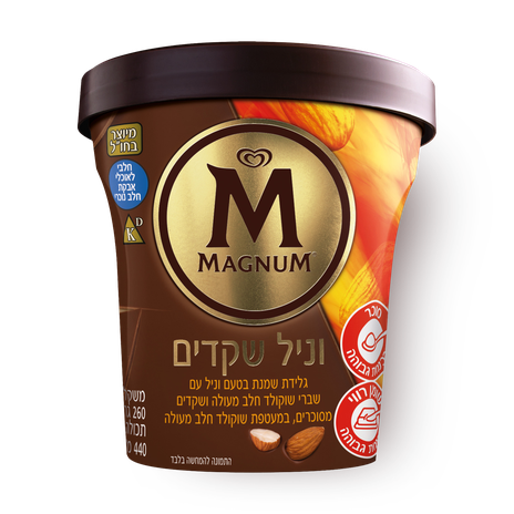 Magnum Almonds Vanilla Ice Cream