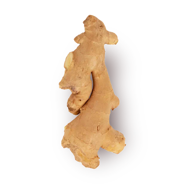 Имбирь свежий Every Day Fresh