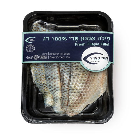 Dagat Haaretz fresh Tilapia Fish fillet