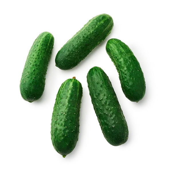 Огурцы колючие Every Day Fresh