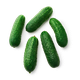 Огурцы колючие Every Day Fresh