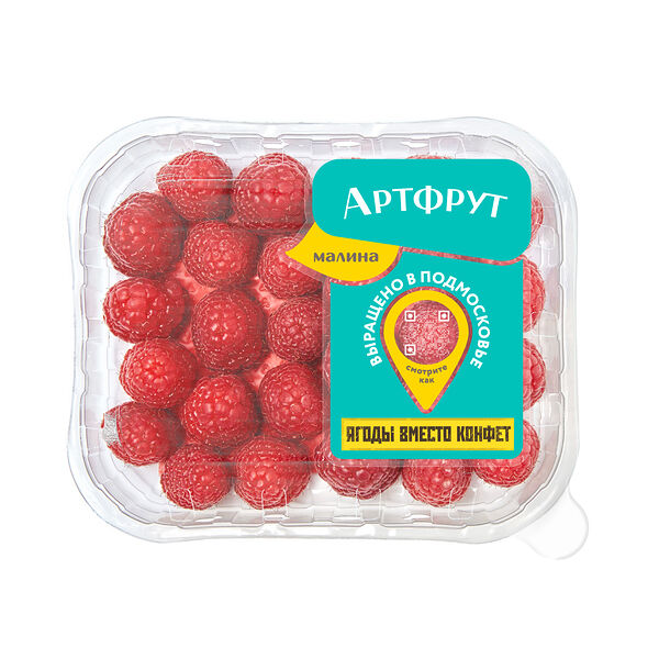 Малина «Артфрут»