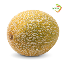 Melon