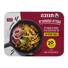 Soy chunks Shawarma flavored Tnuva