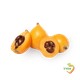 Loquat