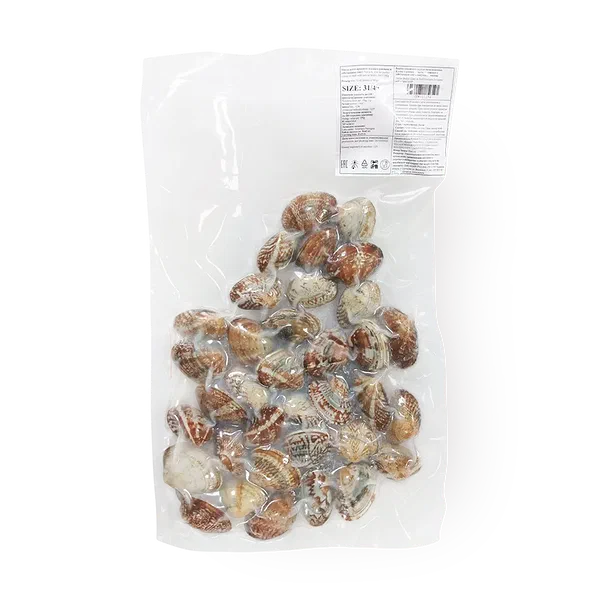 Клеммы вонголе «7 морей» в раковине 31/40