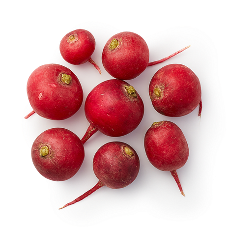 Редис свежий Every Day Fresh