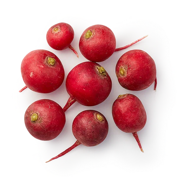 Редис свежий Every Day Fresh