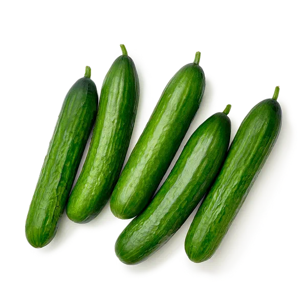 Огурцы свежие Орзу Every Day Fresh