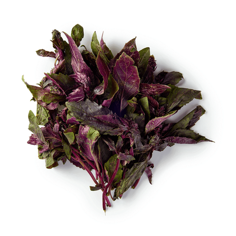 Базилик фиолетовый свежий Every Day Fresh