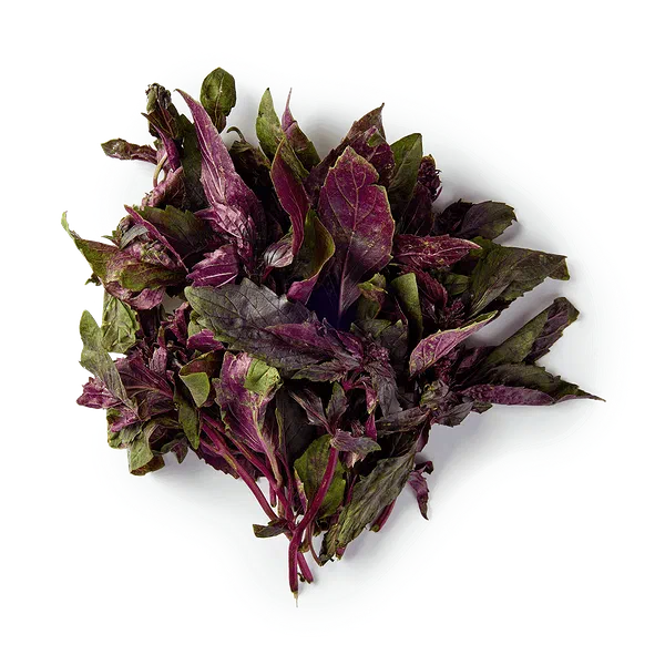 Базилик фиолетовый свежий Every Day Fresh