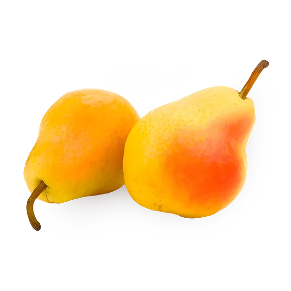 Груша Дюшес Mir