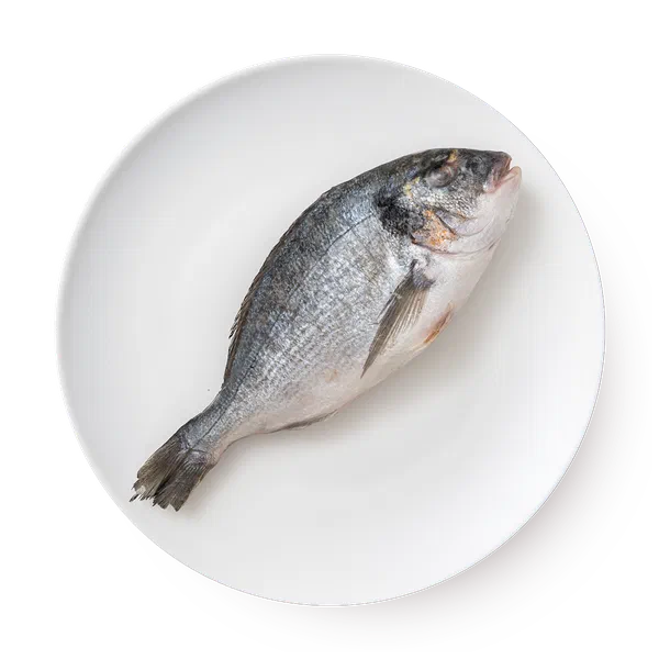 Дорадо 400/600 Fish&More свежемороженая