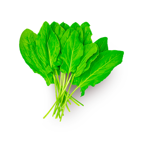 Щавель отборный