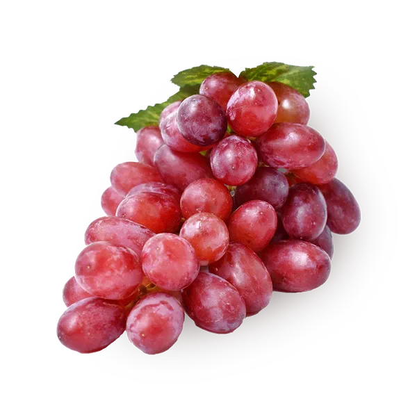 Виноград Ризамат Every Day Fresh