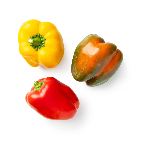 Перец болгарский светофор свежий Калифорния Every Day Fresh