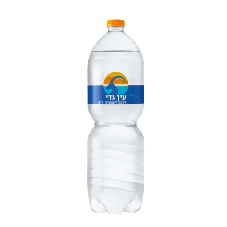 Ein Gedi Mineral water