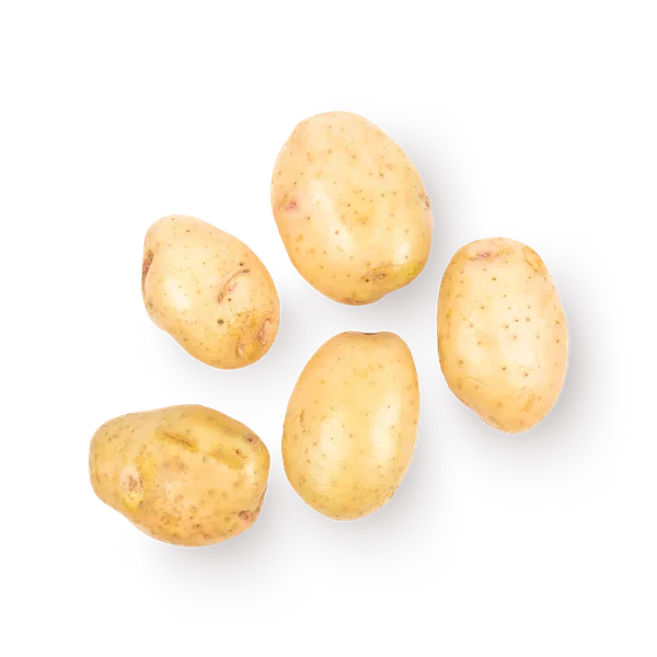 Картошка Everyday Fresh