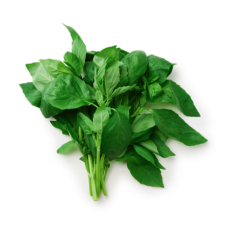 Базилик зелёный свежий Every Day Fresh