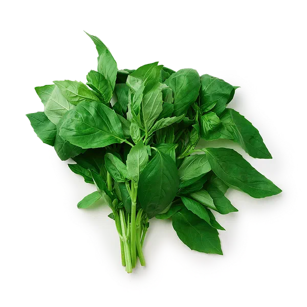 Базилик зелёный свежий Every Day Fresh
