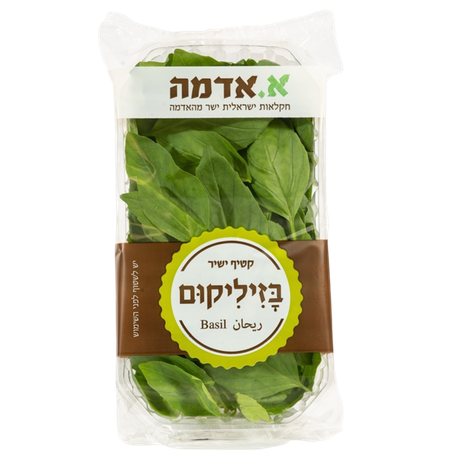 Basil - large pack