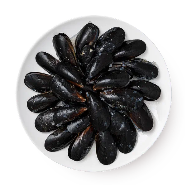 Мидии чёрные Fish&More в створках варёно-мороженые