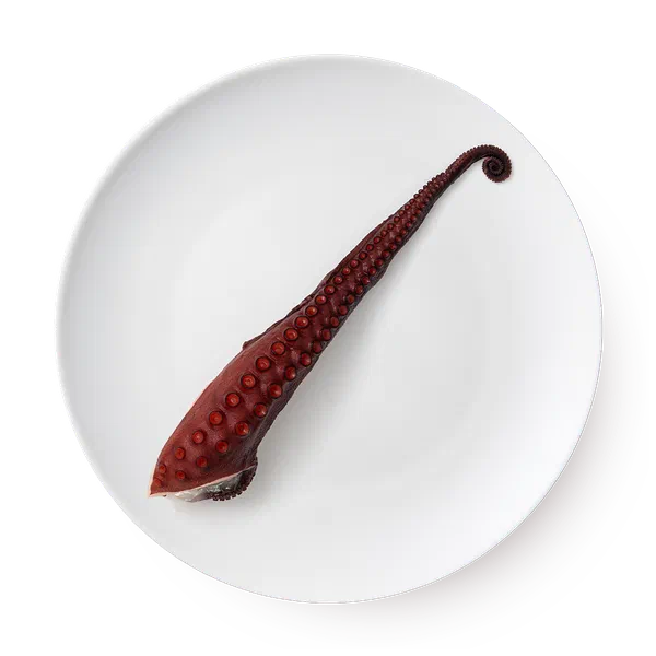 Щупальца осьминога Премиум Fish&More сыромороженые