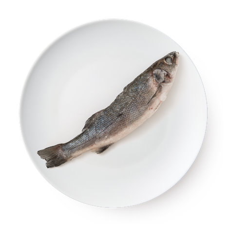 Сибас 400/600 Fish&More свежемороженый