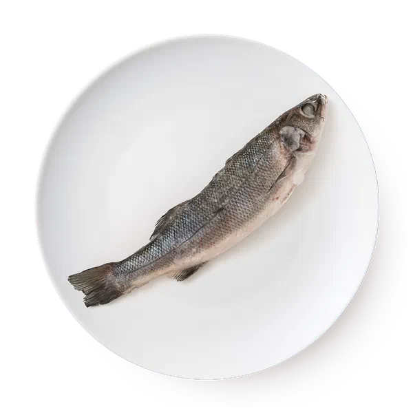 Сибас 400/600 Fish&More свежемороженый