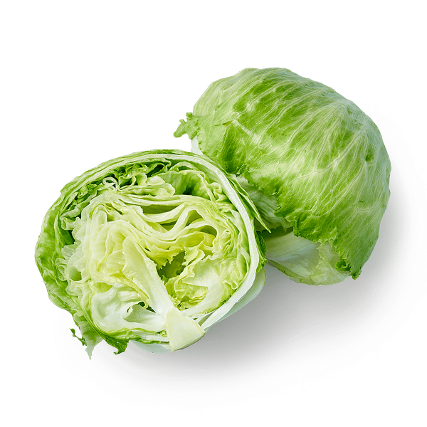 Айсберг Novagreen