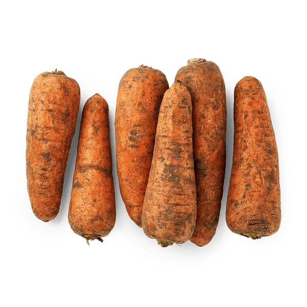 Морковь Tandau