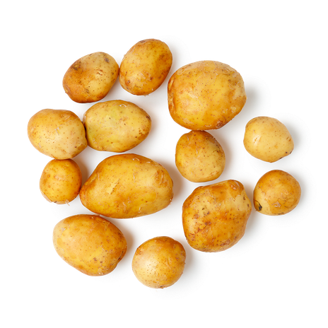 Картофель белый мытый Gektar Узбекистан