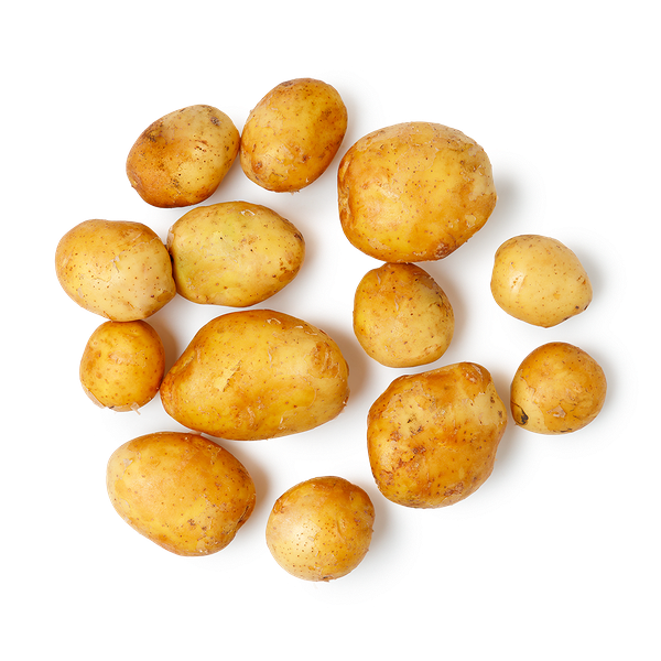 Картофель белый мытый Gektar Узбекистан