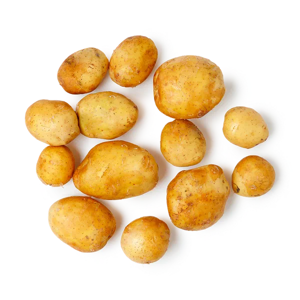 Картофель белый мытый Gektar Узбекистан