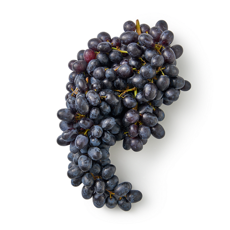 Виноград Кишмиш Every Day Fresh