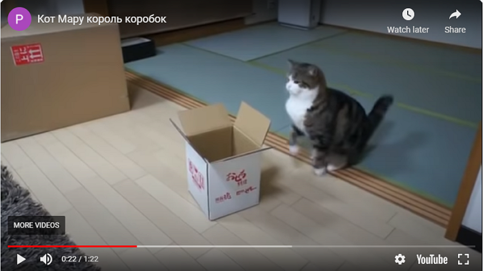 Чем открыть кэш яндекс браузера. Смотреть фото Чем открыть кэш яндекс браузера. Смотреть картинку Чем открыть кэш яндекс браузера. Картинка про Чем открыть кэш яндекс браузера. Фото Чем открыть кэш яндекс браузера