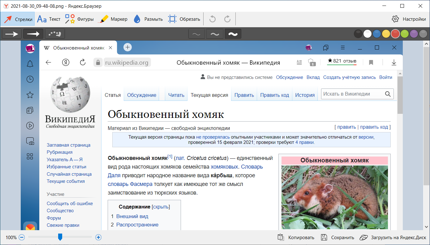 Яндекс Фото Экрана