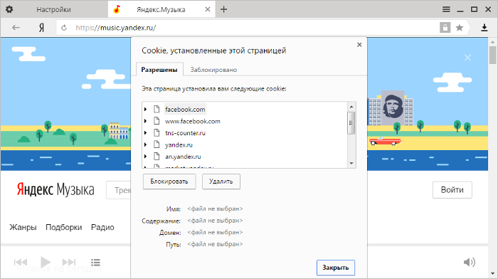 Как вставить куки. Как вставить куки