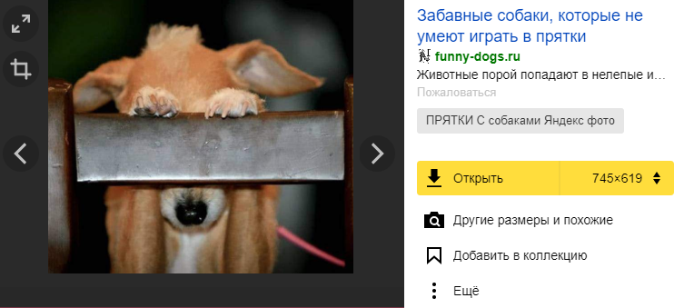 Найти картинку она мне стирает