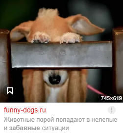 Найти картинку она мне стирает