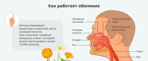 https://yastatic.net/naydex/yandex-search/8VklWW899/5df05ebb9EHw/_V7LCMzDplsHKfq-uQq2kKhUO0qQUOoCSIP7immJ1j63C31QzY4R1ZmolguJ9O8NRhNv4CTaNFKqEeAyOoQFxZwqD6y9tgOfFuy6Polal0V8ZSqPMBU7pm1GT4rcaTY-lK3vd6_o9jM7L8HZOAF6eEYnviSQHEfA