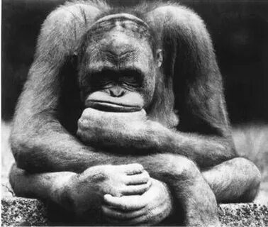 7M8no6bbT2FzdUXGCQF01qXKcpolilSwYAGBfAp3638J8UCCPKe2OEoEUD-8RWQ1z7hUz-DRXbbWDO-jLr_EavhcNLN2nBo1Y3LWVQjDNdF3DSCaNE1AMqXHVWqONzw9nOVODPS5v6IVSZtidxpj48ophYF7Q