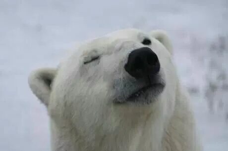 Gx_pDuuEQWWon_KrX1k2RkMI-ZfLu4gHpJIyB2Pezr4qlOitApot5d4eIlik-RsnjYUeILYcFzjlelxERiWSp38rLTqKcYRxiQtWay_Jd7Ly3HmTun6ottUn0lIziA0JGKaeerS9iqdsyvc4IawfwznUWFYw