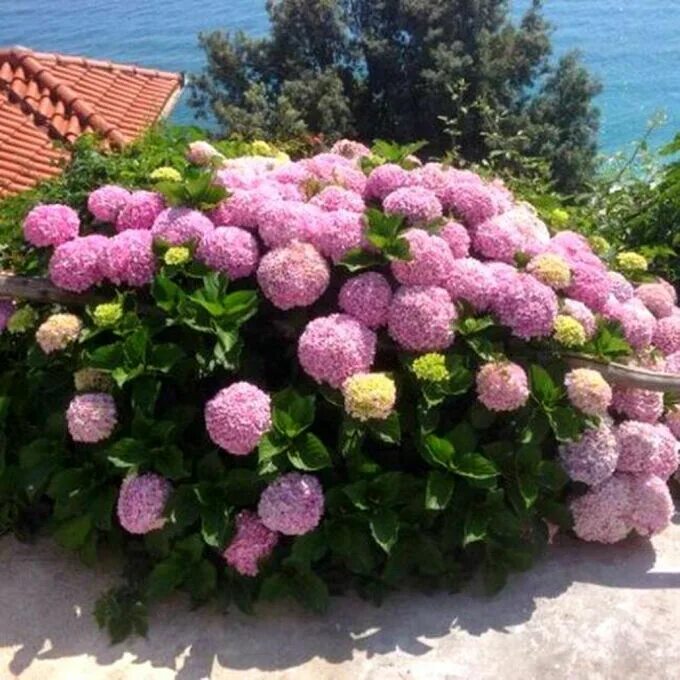 0RRTOh4N1poYk3Z1QRY9O7KC7A87DIJOmyXa8SkuuIZlumKZnd4mWgITd3xa0Un6uGoWDBOdDBgr7HDAFZjSXZRDHmNUU5GaHYc9fw0MMSunzvFMIR7aQq0eptFeE87gHsQTst6eaE0eF3h8D5gC6_9TcA