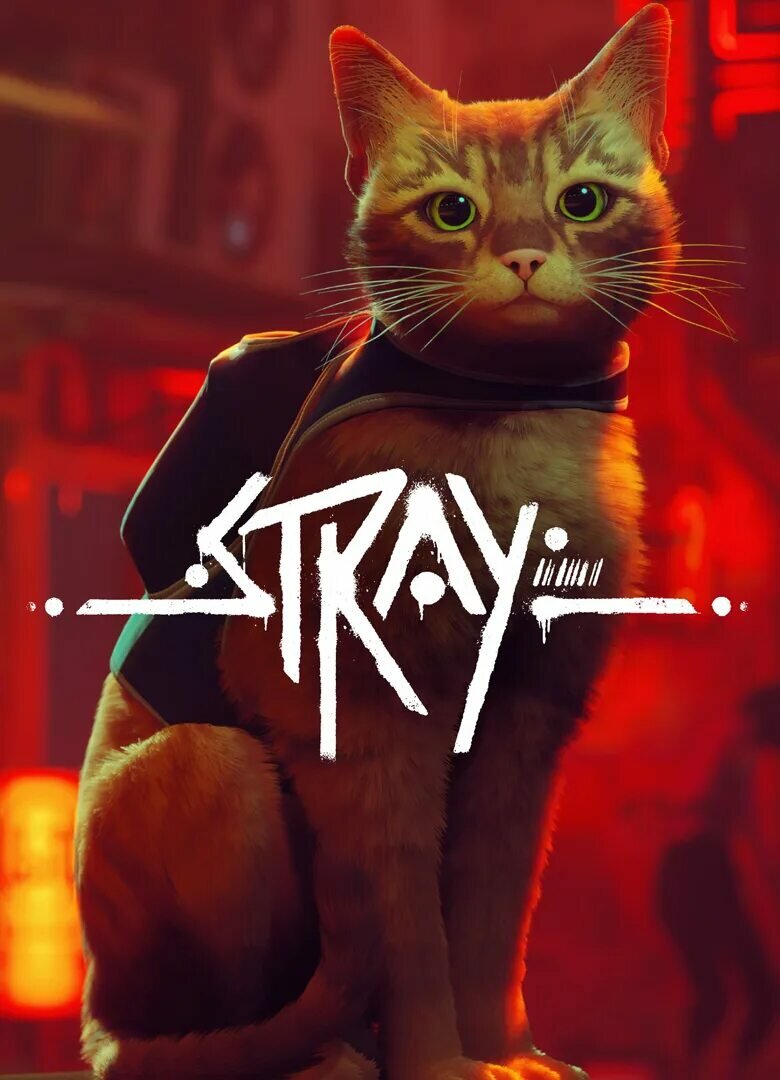 Stray