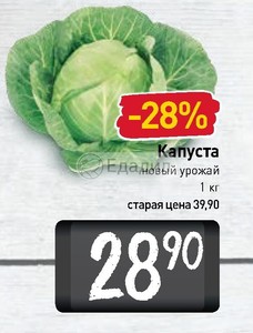 Капуста Новый Урожай Купить В Спб